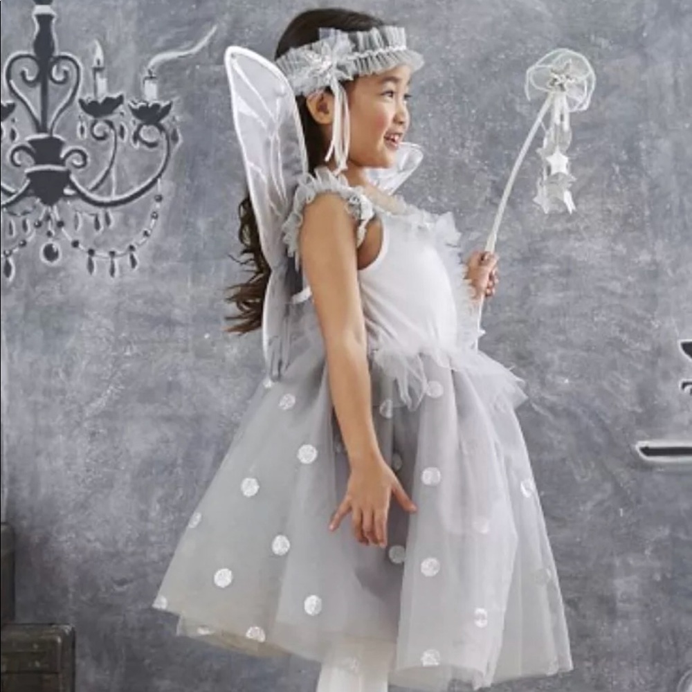 COPY - Pottery barn kids fairy costume